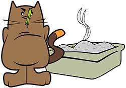 cat-hates-the-smell-of-a-Dirty-Litter-Box cat-hates-the-smell-of-a-Dirty-Litter-Box