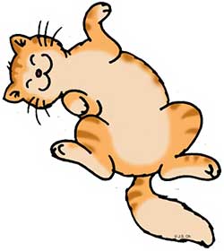 Feline-flop-cartton Feline flop cartton
